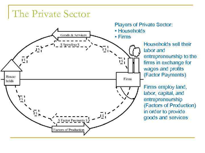 The Private Sector Players of Private Sector: • Households • Firms Households sell their