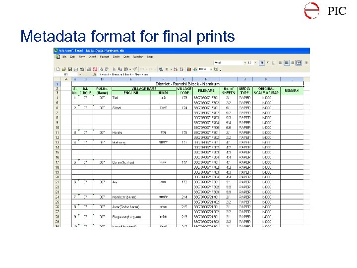 PIC Metadata format for final prints 