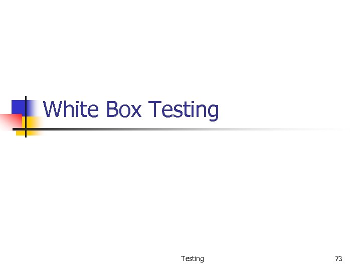White Box Testing 73 