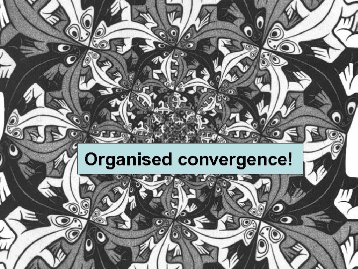 Organised convergence! 