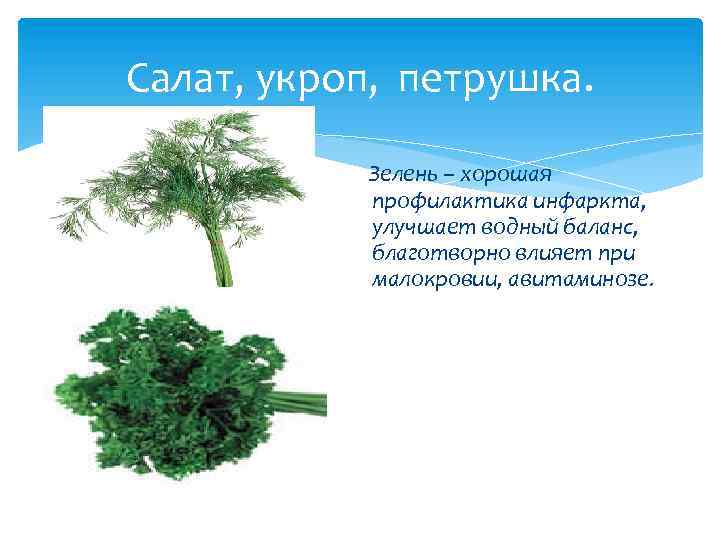 Салат, укроп, петрушка. Зелень – хорошая профилактика инфаркта, улучшает водный баланс, благотворно влияет при