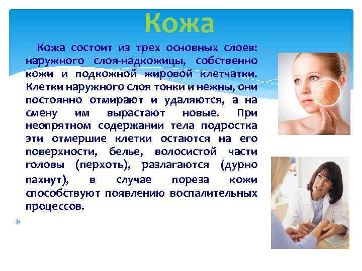 Кожа состоит из трех основных слоев: наружного слоя-надкожицы, собственно кожи и подкожной жировой клетчатки.