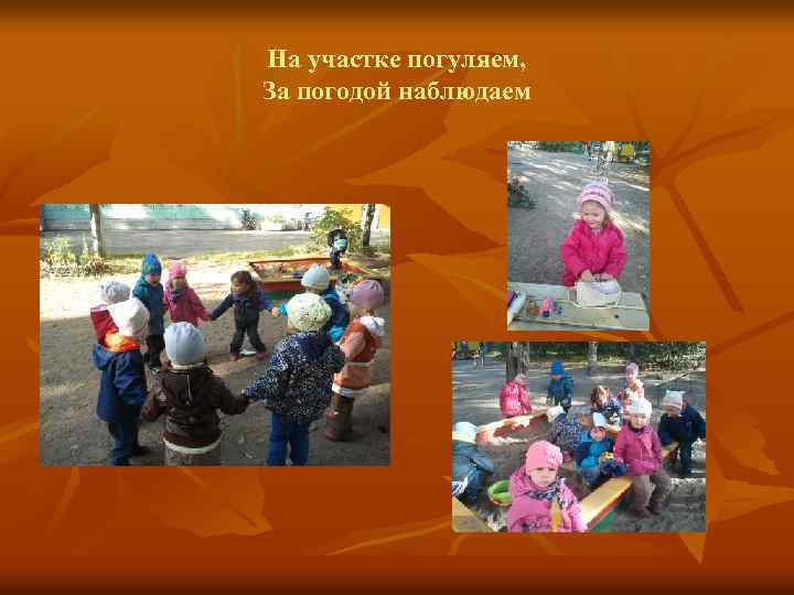 На участке погуляем, За погодой наблюдаем 