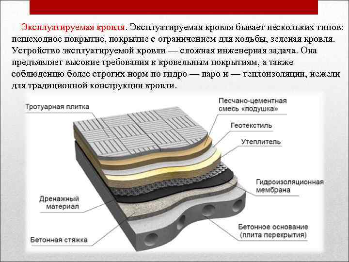  Эксплуатируемая кровля бывает нескольких типов: пешеходное покрытие, покрытие с ограничением для ходьбы, зеленая