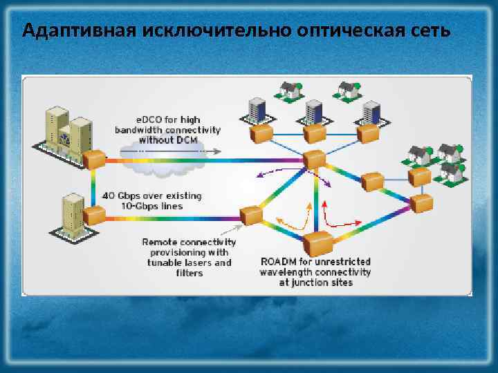 Адаптивная исключительно оптическая сеть 