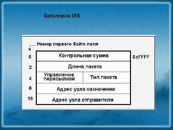 Заголовок IPX 