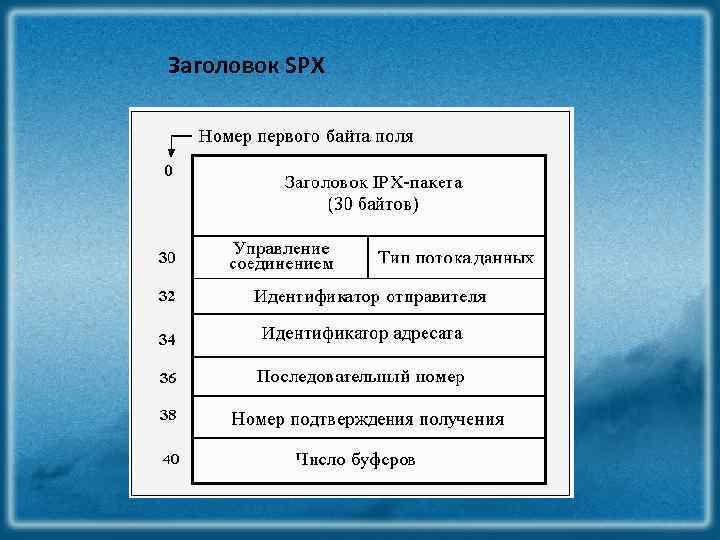 Заголовок SPX 