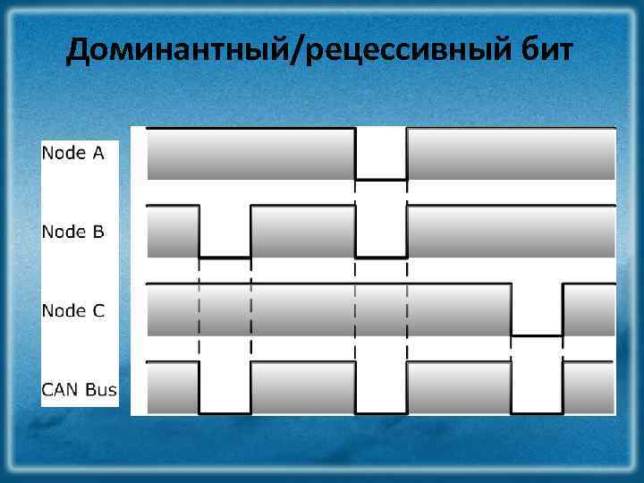 Доминантный/рецессивный бит 