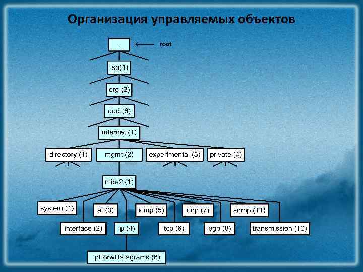 Организация управляемых объектов 