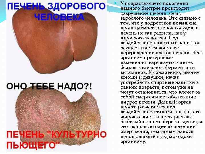  У подрастающего поколения намного быстрее происходит разрушение печени, чем у взрослого человека. Это