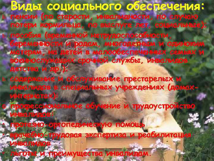 Виды социального обеспечения: ь пенсии (по старости, инвалидности, по случаю потери кормильца, по выслуге