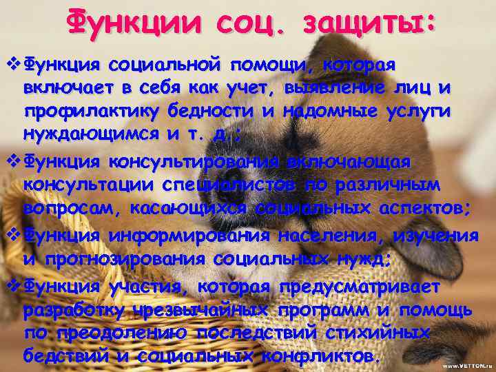 Функции соц. защиты: v Функция социальной помощи, которая включает в себя как учет, выявление