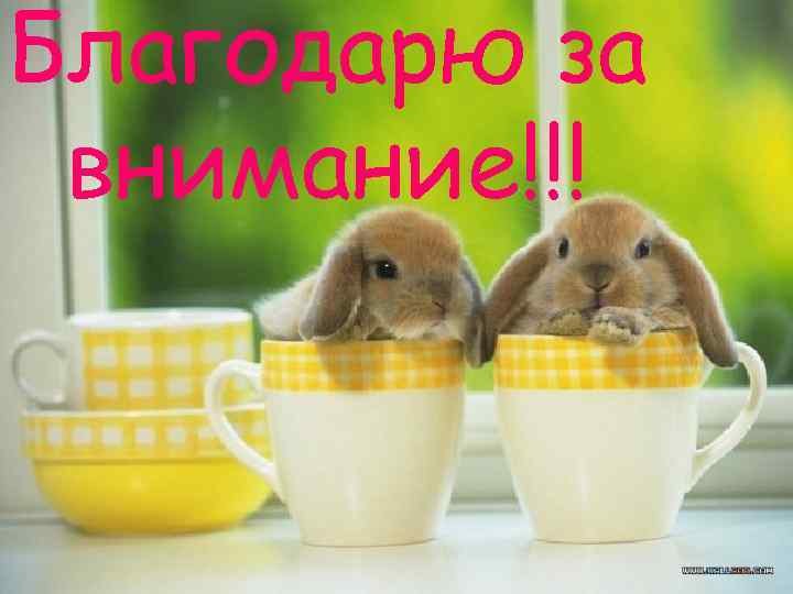 Благодарю за внимание!!! 