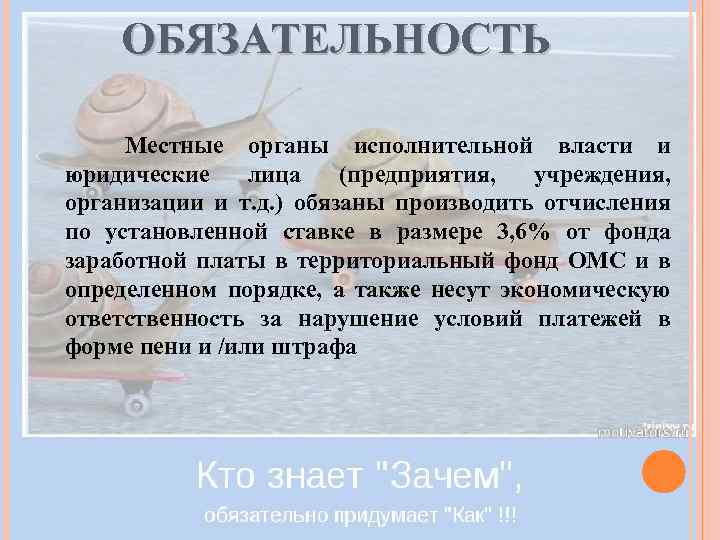 ОБЯЗАТЕЛЬНОСТЬ Местные органы исполнительной власти и юридические лица (предприятия, учреждения, организации и т. д.