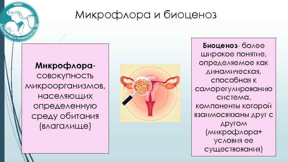 Микрофлора и биоценоз Микрофлорасовокупность микроорганизмов, населяющих определенную среду обитания (влагалище) Биоценоз- более широкое понятие,