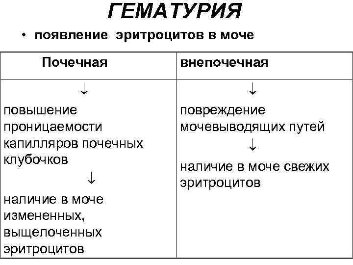 ГЕМАТУРИЯ • появление эритроцитов в моче Почечная повышение проницаемости капилляров почечных клубочков наличие в
