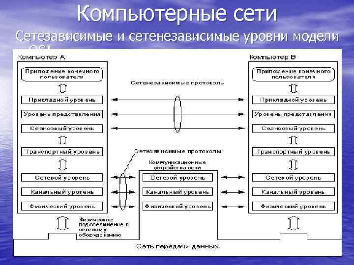 Компьютерные сети Сетезависимые и сетенезависимые уровни модели OSI 