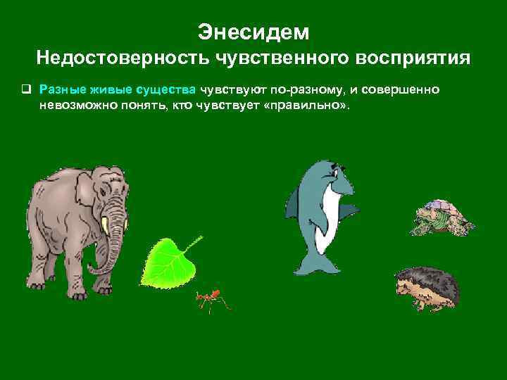 Энесидем Недостоверность чувственного восприятия q Разные живые существа чувствуют по-разному, и совершенно невозможно понять,