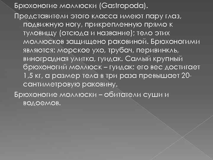 Брюхоногие моллюски (Gastropoda). Представители этого класса имеют пару глаз, подвижную ногу, прикрепленную прямо к