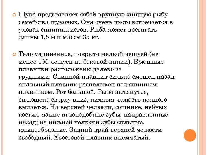  Щука представляет собой крупную хищную рыбу семейства щуковых. Она очень часто встречается в