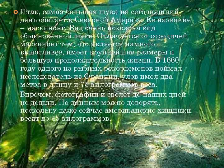  Итак, самая большая щука на сегодняшний день обитает в Северной Америке. Ее название