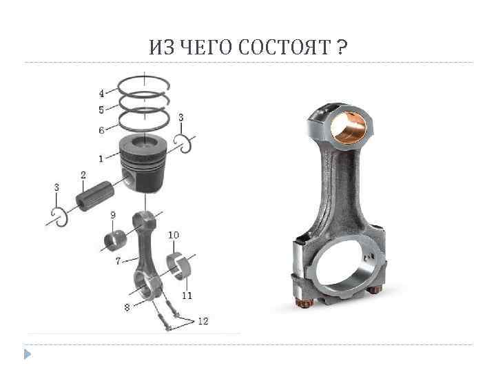 ИЗ ЧЕГО СОСТОЯТ ? 