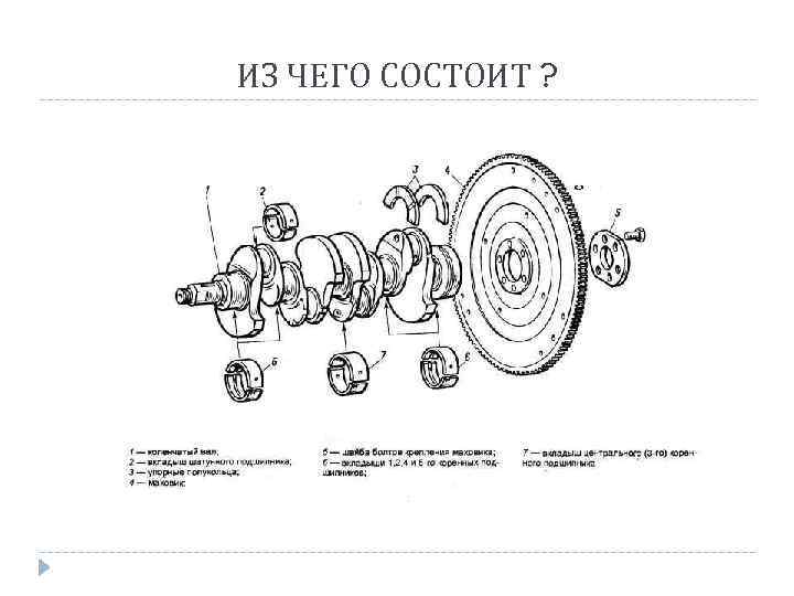 ИЗ ЧЕГО СОСТОИТ ? 