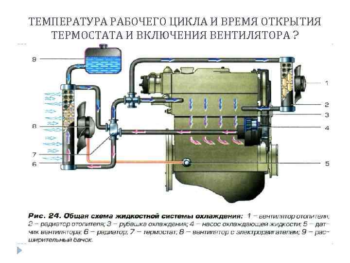 ТЕМПЕРАТУРА РАБОЧЕГО ЦИКЛА И ВРЕМЯ ОТКРЫТИЯ ТЕРМОСТАТА И ВКЛЮЧЕНИЯ ВЕНТИЛЯТОРА ? 