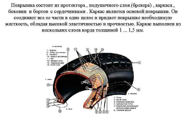 Покрышка состоит из протектора , подушечного слоя (брекера) , каркаса , боковин и бортов