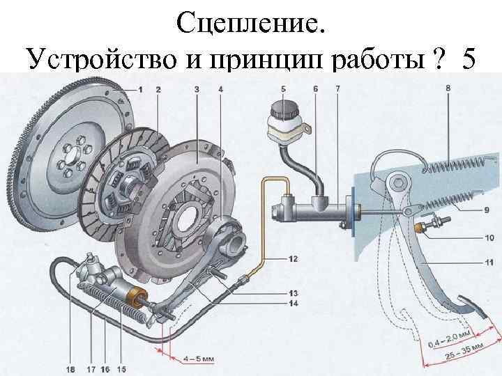 Сцепление. Устройство и принцип работы ? 5 
