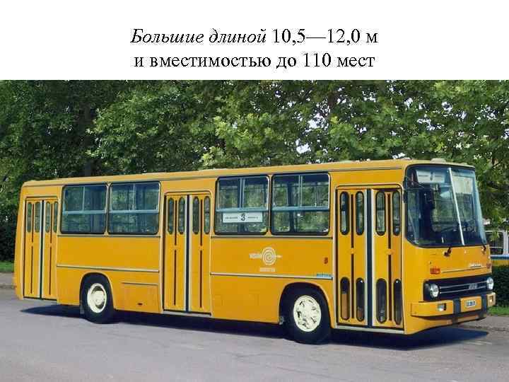 Большие длиной 10, 5— 12, 0 м и вместимостью до 110 мест 