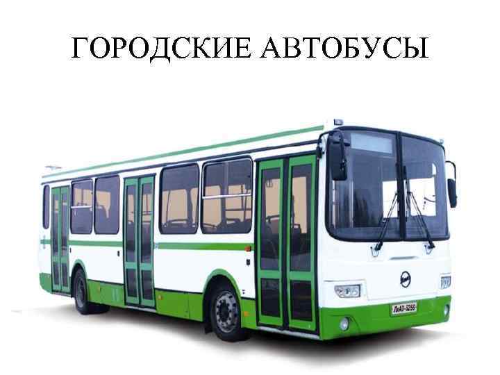 ГОРОДСКИЕ АВТОБУСЫ 