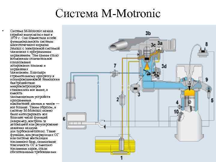 Система M-Motronic • Система M-Molronic начала серийно выпускаться еще в 1979 г. Она совместила