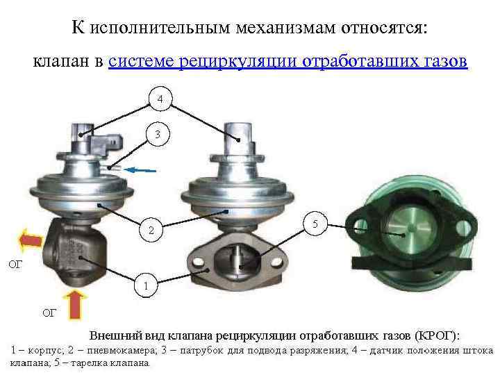 К исполнительным механизмам относятся: клапан в системе рециркуляции отработавших газов 