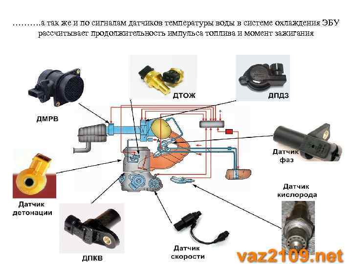 ………. а так же и по сигналам датчиков температуры воды в системе охлаждения ЭБУ