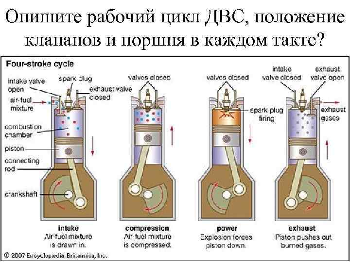 Опишите рабочий цикл ДВС, положение клапанов и поршня в каждом такте? 
