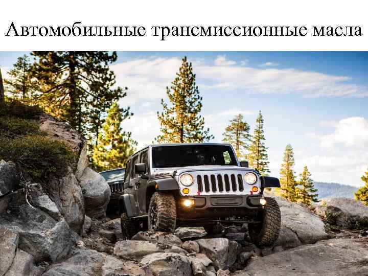 Автомобильные трансмиссионные масла 