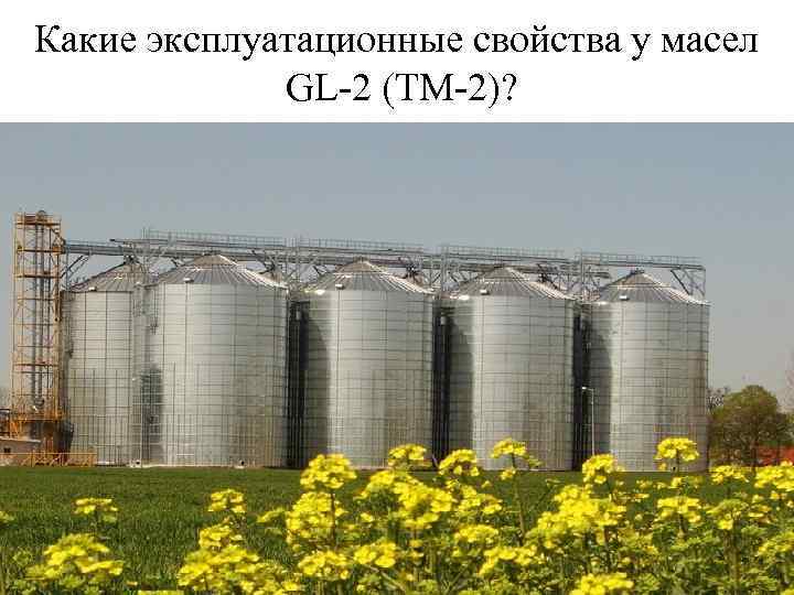 Какие эксплуатационные свойства у масел GL-2 (ТМ-2)? 