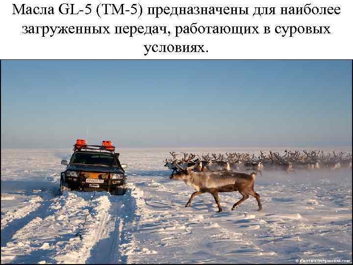 Масла GL-5 (ТМ-5) предназначены для наиболее загруженных передач, работающих в суровых условиях. 