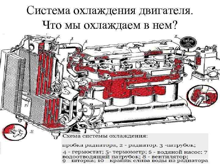 Система охлаждения двигателя. Что мы охлаждаем в нем? 