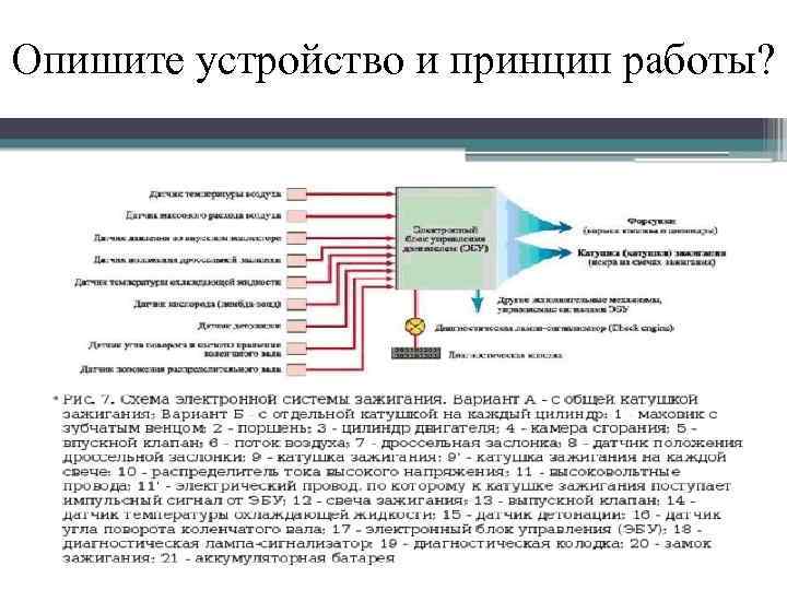 Опишите устройство и принцип работы? 