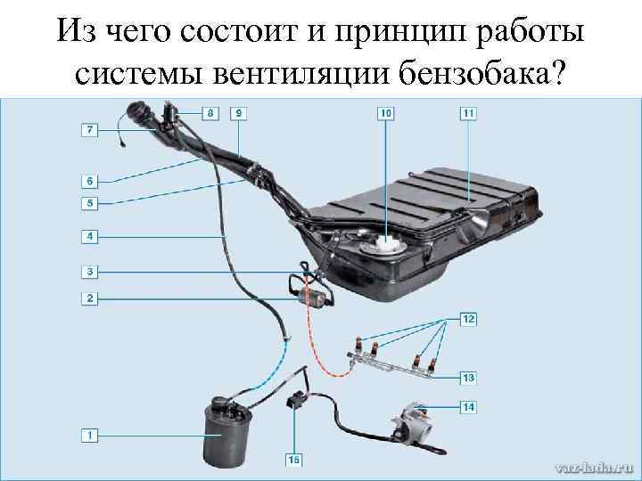 Из чего состоит и принцип работы системы вентиляции бензобака? 