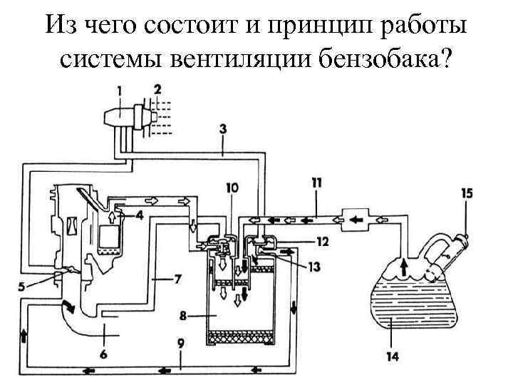 Из чего состоит и принцип работы системы вентиляции бензобака? 