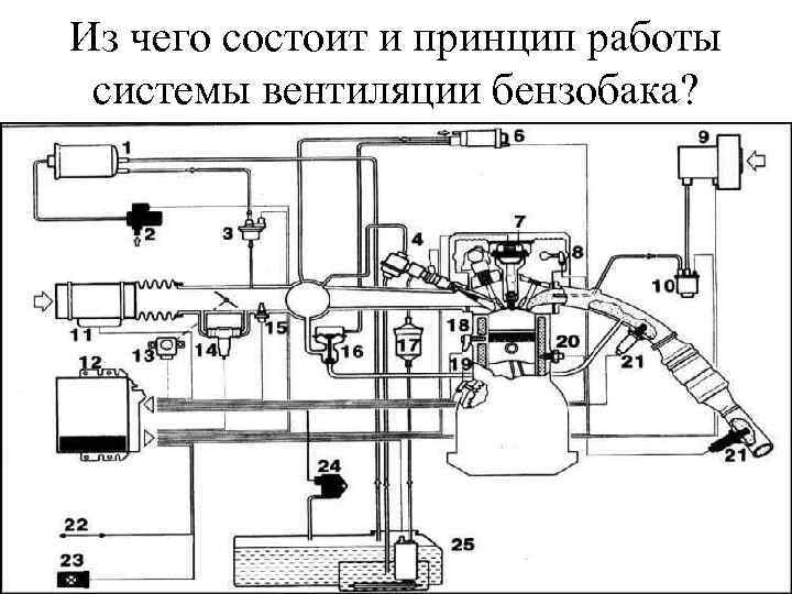 Из чего состоит и принцип работы системы вентиляции бензобака? 