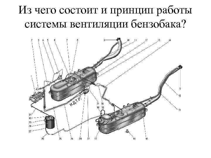 Из чего состоит и принцип работы системы вентиляции бензобака? 