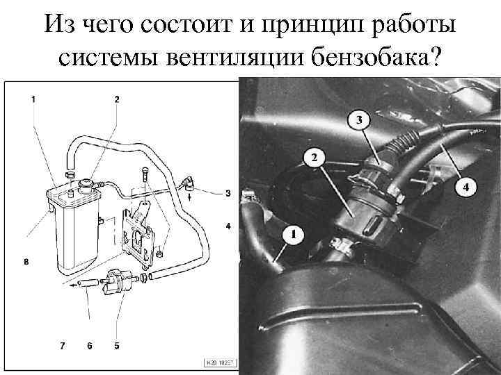 Из чего состоит и принцип работы системы вентиляции бензобака? 