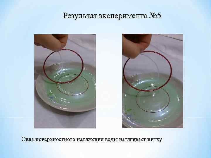 Результат эксперимента № 5 Сила поверхностного натяжения воды натягивает нитку. 