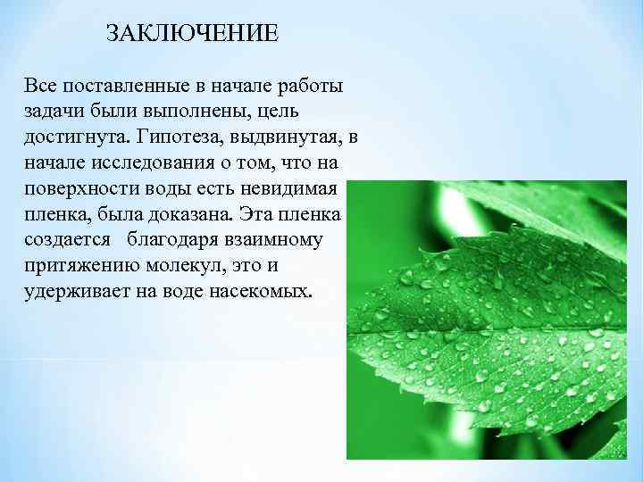 ЗАКЛЮЧЕНИЕ Все поставленные в начале работы задачи были выполнены, цель достигнута. Гипотеза, выдвинутая, в