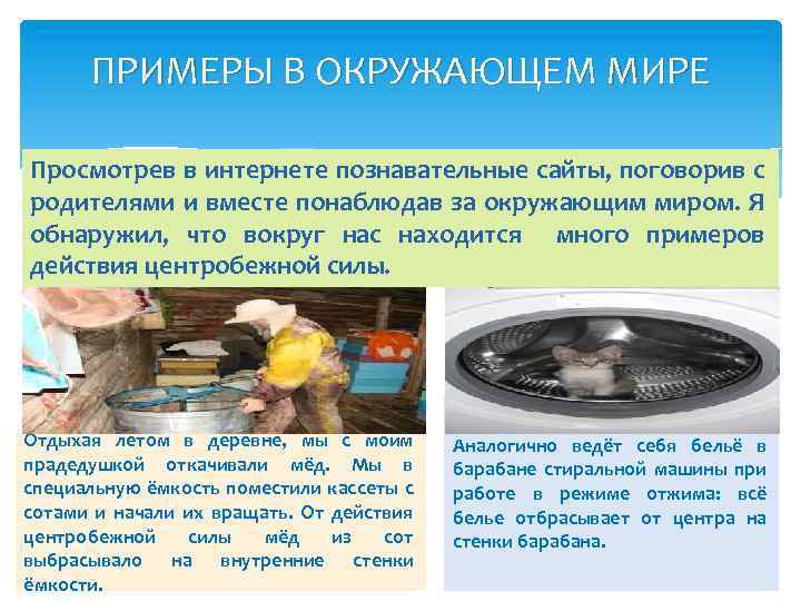 ПРИМЕРЫ В ОКРУЖАЮЩЕМ МИРЕ Просмотрев в интернете познавательные сайты, поговорив с родителями и вместе
