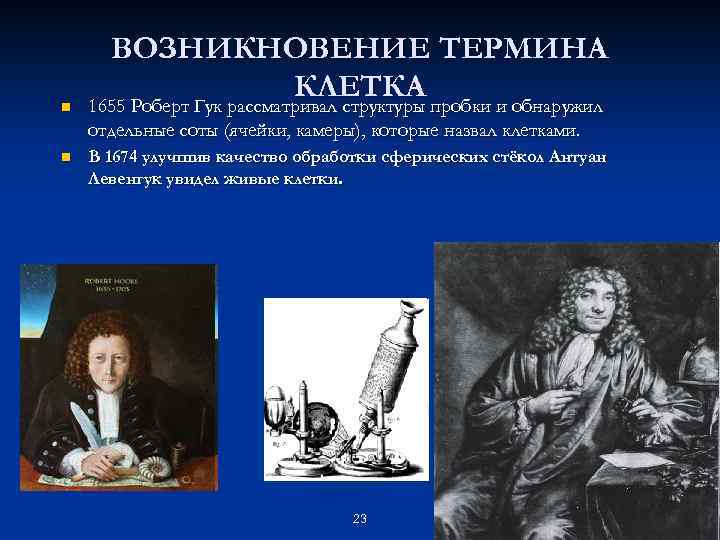 n ВОЗНИКНОВЕНИЕ ТЕРМИНА КЛЕТКА 1655 Роберт Гук рассматривал структуры пробки и обнаружил отдельные соты